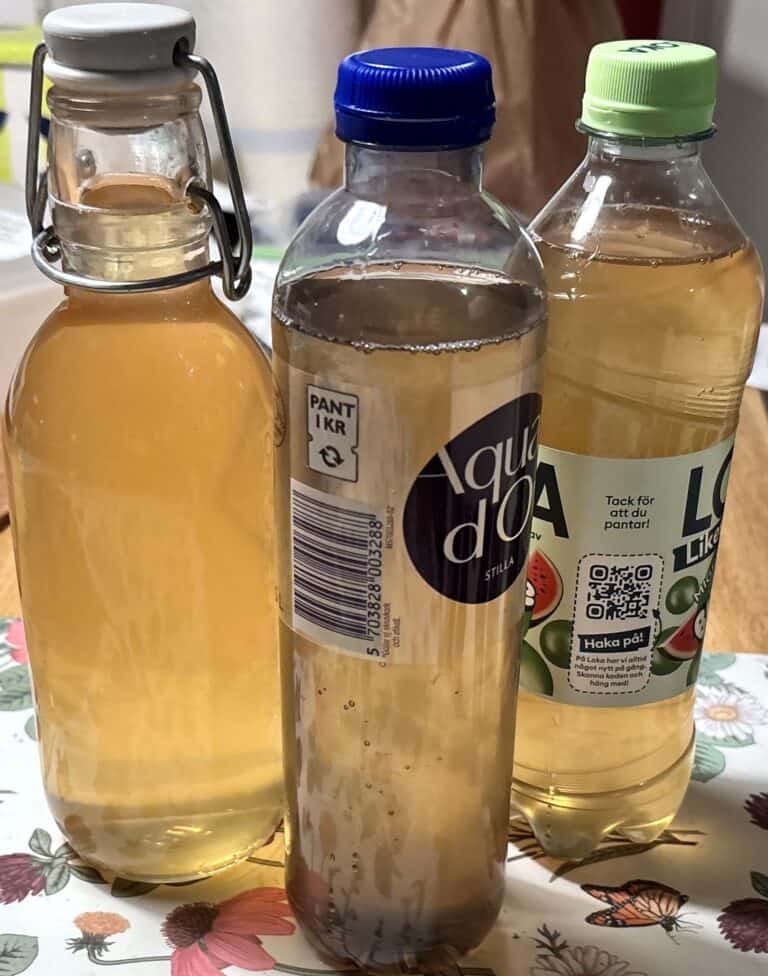 Svarta vinbärsbladssaft